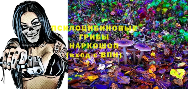 PSILOCYBIN Абинск