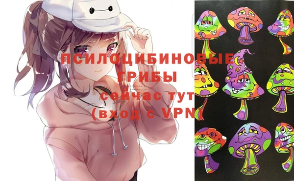 PSILOCYBIN Абинск