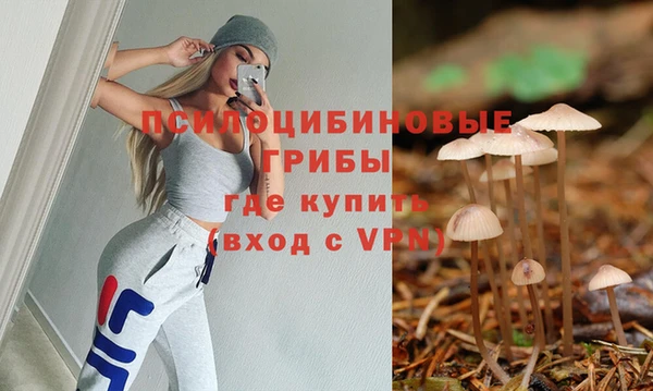 соль ск Абдулино