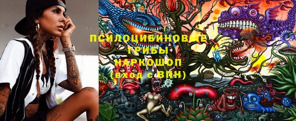 PSILOCYBIN Абинск